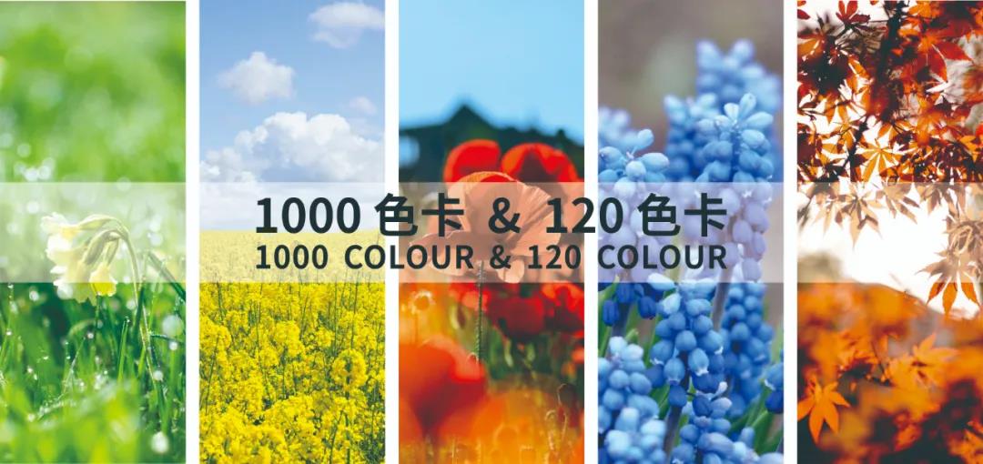 明治漆|用色彩改变生活|全新色卡正式上市